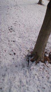 120124_1409~01.jpg