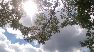 120929_1243~01.jpg