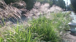 121013_0841~01.jpg