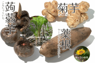 20090219_620555.gif