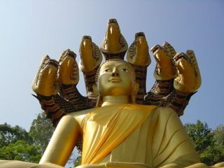 201201052216209a4.jpg