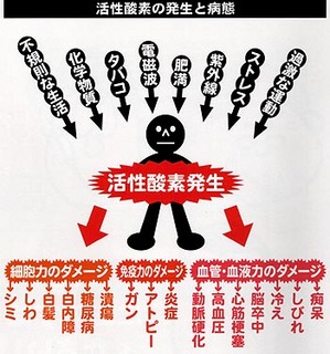 img1009158233.jpg