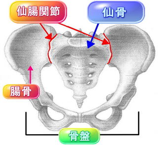 senchokansetsuzentaizukakubunatuki.jpg