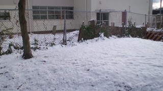 120124_1409~02.jpg