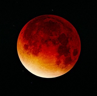 7779847de489a511f3c3e8b5dbc872f8.jpg
